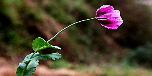 《午夜之南》文件大小公布